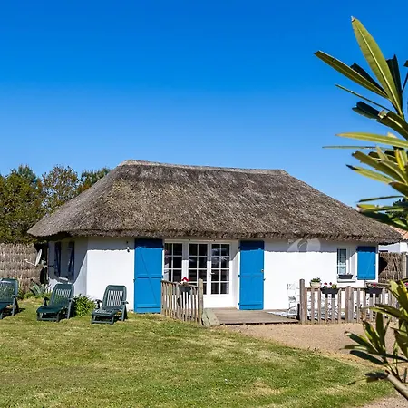 Les De Chateau Trompette * Le Fenouiller