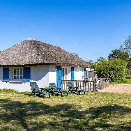 Les De Chateau Trompette Le Fenouiller